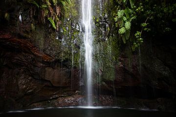 Les joyaux de Madère