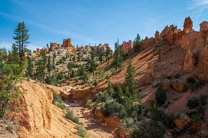 Mossy Cave Amerika route
