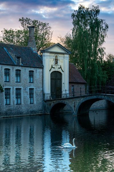 Cygne de Bruges par J. De Craemer