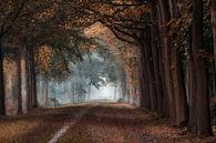De Tunnel  van Jos Erkamp thumbnail