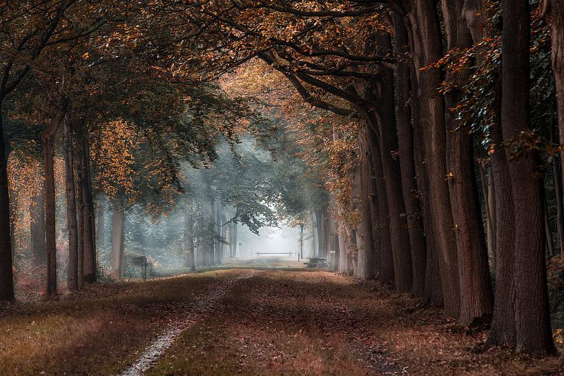 De Tunnel  van Jos Erkamp