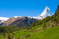 Idylisch Zwitsers landschap met uitzicht over de Matterhorn van Justin Suijk thumbnail