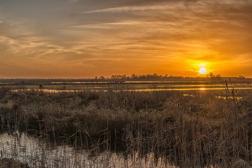 Sunrise in the Vlist