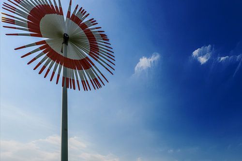 Windmolen bloem