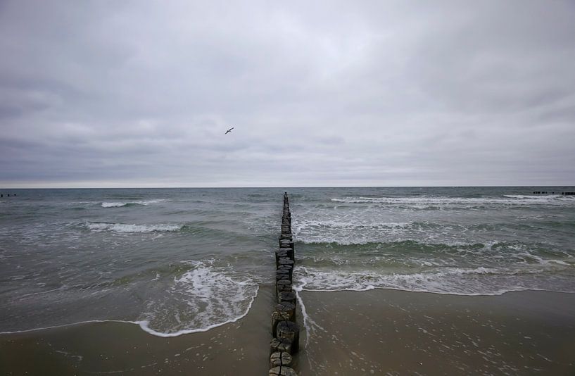 Weite Ostsee von Thomas Jäger