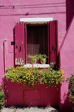 das rosa Fenster von Karin vanBijleveltFotografie