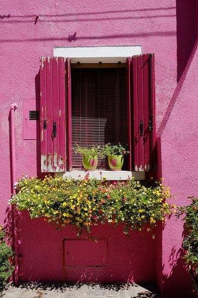 das rosa Fenster von Karin vanBijlevelt