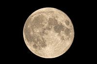Vollmond-Foto