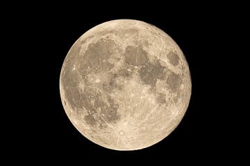 Volle maan foto van Nick van den Berg