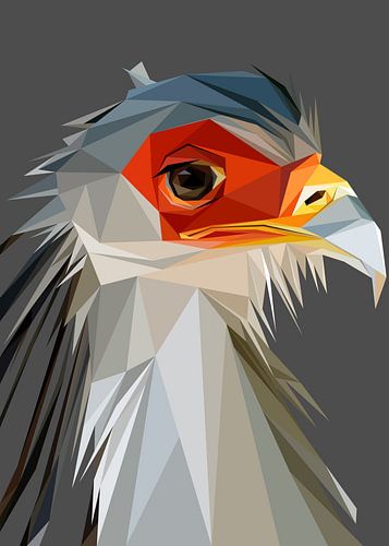 Abstract De Secretarisvogel Laagpolig