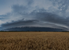 A shelf cloud above the cornfields by Christiaan De Vries