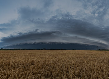 A shelf cloud above the cornfields