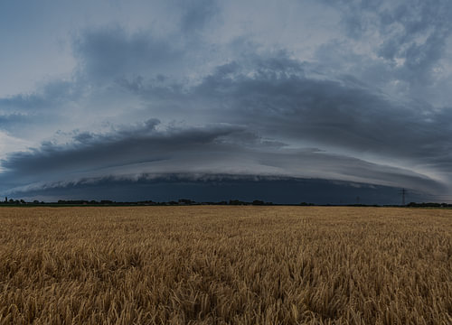 Shelfcloud über dem Getreide