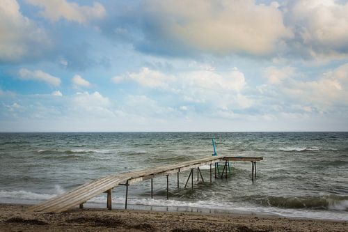 Steiger - Beach Life