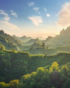 Prosecco Hills hogback, Weinberge bei Sonnenuntergang. Unesco-Stätte. Venetien