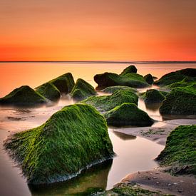 Sunset Sunset Katwijk aan Zee Pays-Bas sur Wim van Beelen