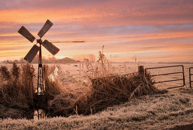 Wintermorgen ergens in de polder van Marjolein van Middelkoop