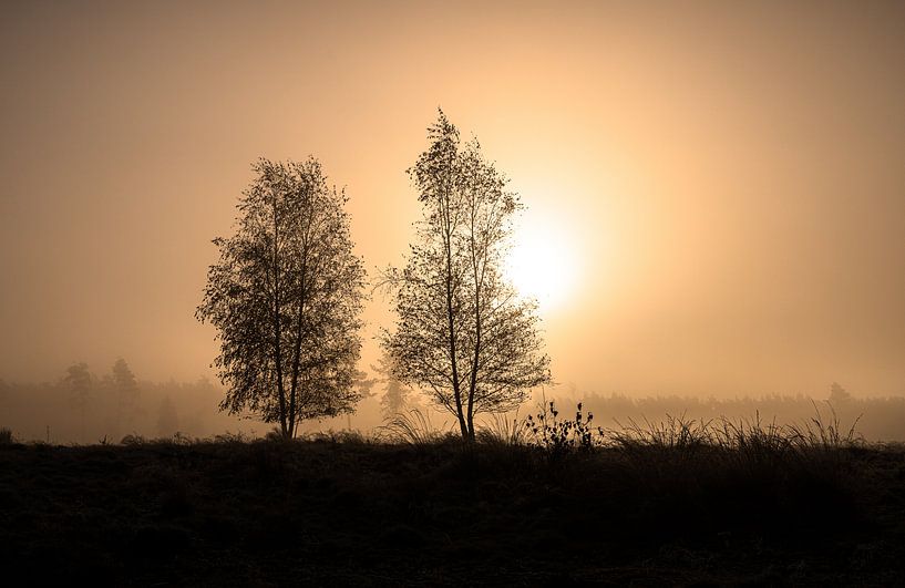 Winter Picture by Anouk Peeters