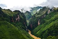 Kräftige Grüntöne in den Bergen von Ha Giang von Zoe Vondenhoff Miniaturansicht