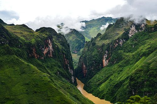 Sterke groene tinten in de bergen van Ha Giang