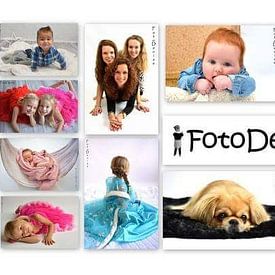 denise tolboom Profilfoto