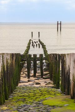 Brise-lames Westkapelle sur Ingrid Bergmann  Fotografie