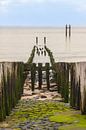 Breakwater Westkapelle by Ingrid Bergmann  Fotografie thumbnail
