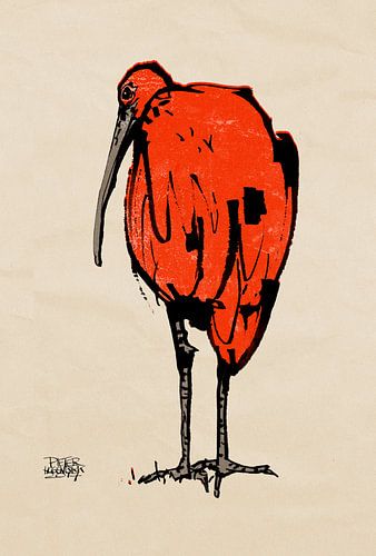 Ibis by Pieter Hogenbirk