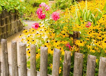 Jardin de fleurs derrière une clôture en bois sur ManfredFotos