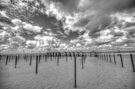 strand  De Panne van Robby Stifter thumbnail