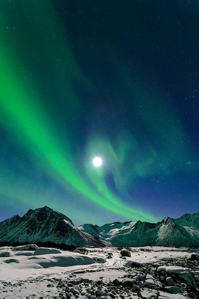 Noorderlicht boven de bergen van Senja in Noord-Noorwegen van Sjoerd van der Wal