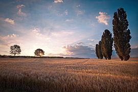 Zonsopkomst in Eyserhalte