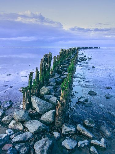 De Waddenzee