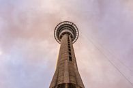 Onderaanzicht van de Sky tower voor de roze avondlucht van Auckland van Paul van Putten thumbnail