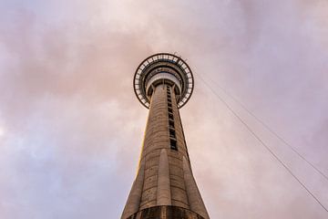 Sky tower for the pink evening sky of Auckland by Paul van Putten