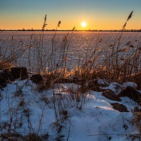 Winterlicher Sonnenaufgang am IJsselmeer von Miranda van Assema