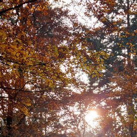 Neeltje Annema Profilfoto