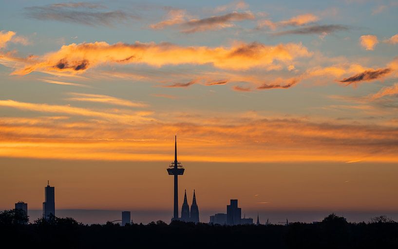 Cologne, North Rhine-Westphalia, Germany by Alexander Ludwig