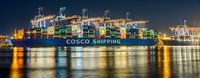 Containerschip aangemeerd bij de containerterminal van Sjoerd van der Wal Fotografie thumbnail