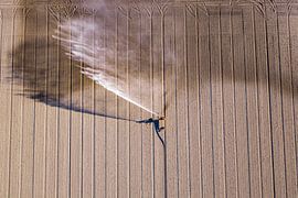 Machine d'irrigation à pivot équipée d'un canon pulvérisateur