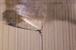 Bewässerungsanlage mit Sprühpistole, die Wasser versprüht