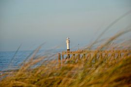 De pier baadt in de winterzon van Robin Geets