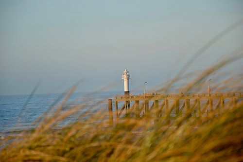 De pier baadt in de winterzon
