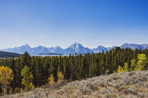 Blick auf die Grand Tetons im Grand-Teton-Nationalpark
