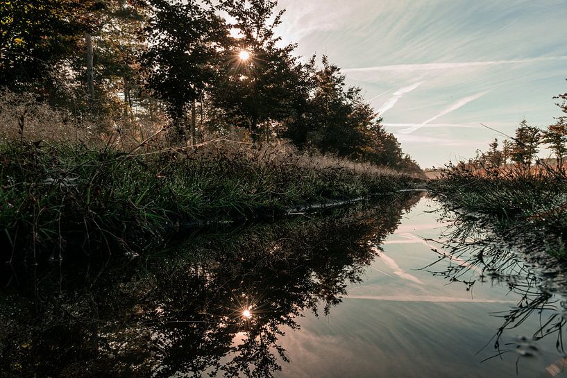 Hoge Veluwe - Weerspiegeling in het water van Mascha Boot