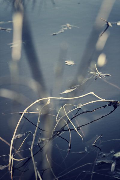 waterside by Nynke Venema | knynk