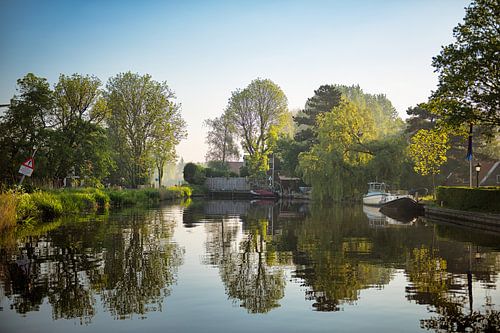 Bartelsluis in Wormer