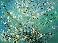 Mandelblüte