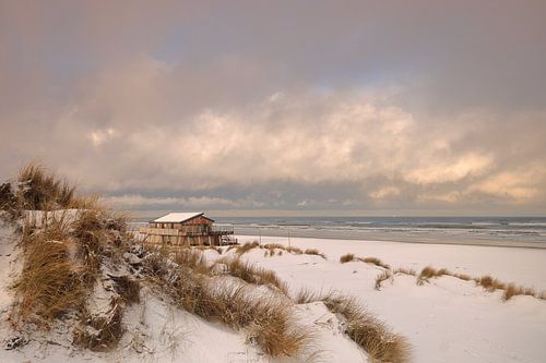 Ameland winterwonderland