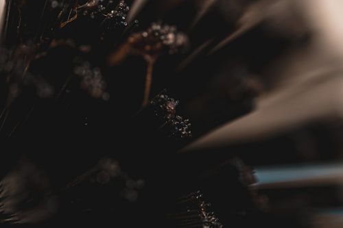 Brosse à vaisselle abstraite en gros plan sur Nathan Okkerse